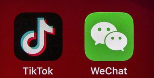 高义网络科技tiktok